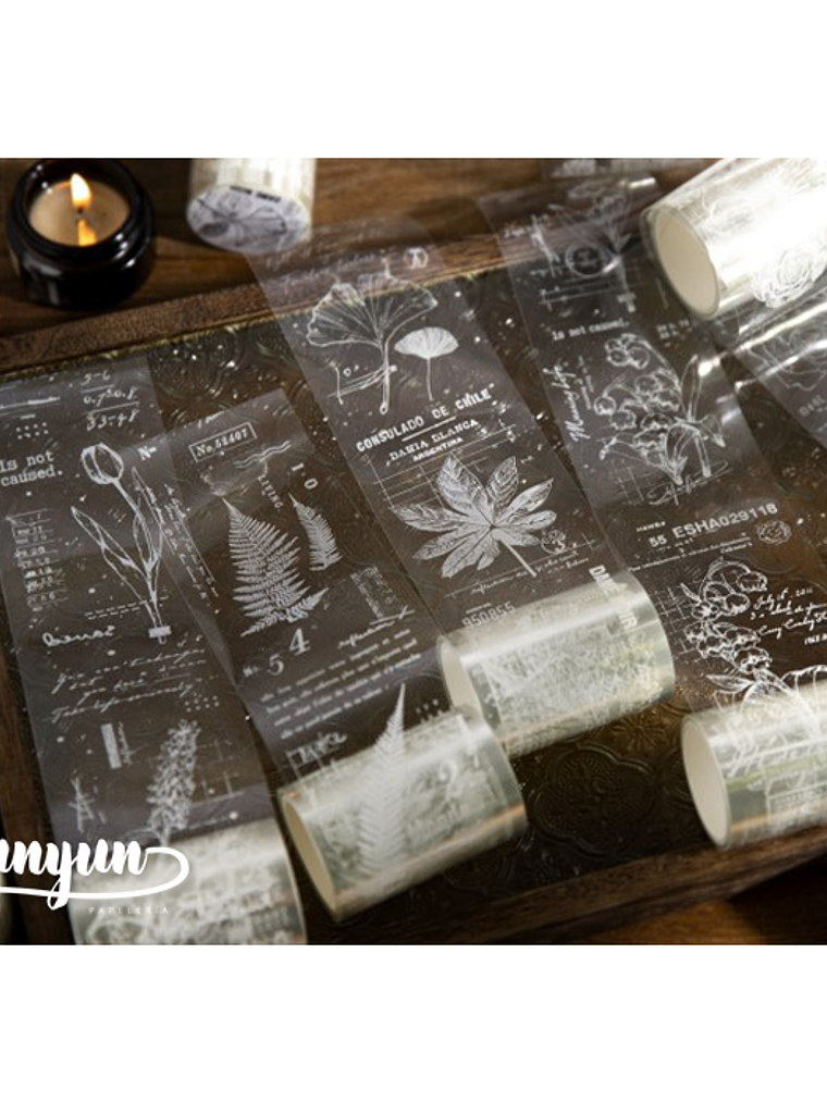 Washi Tapes Lace Botánica - 5,6cm 1