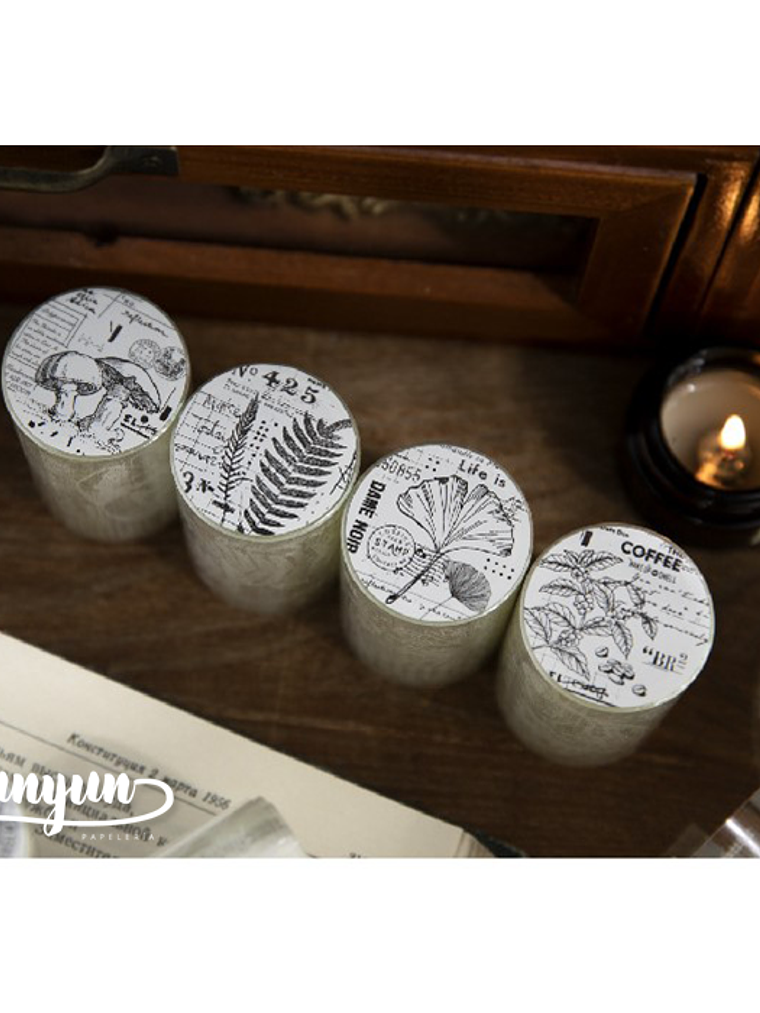 Washi Tapes Lace Botánica - 5,6cm 3