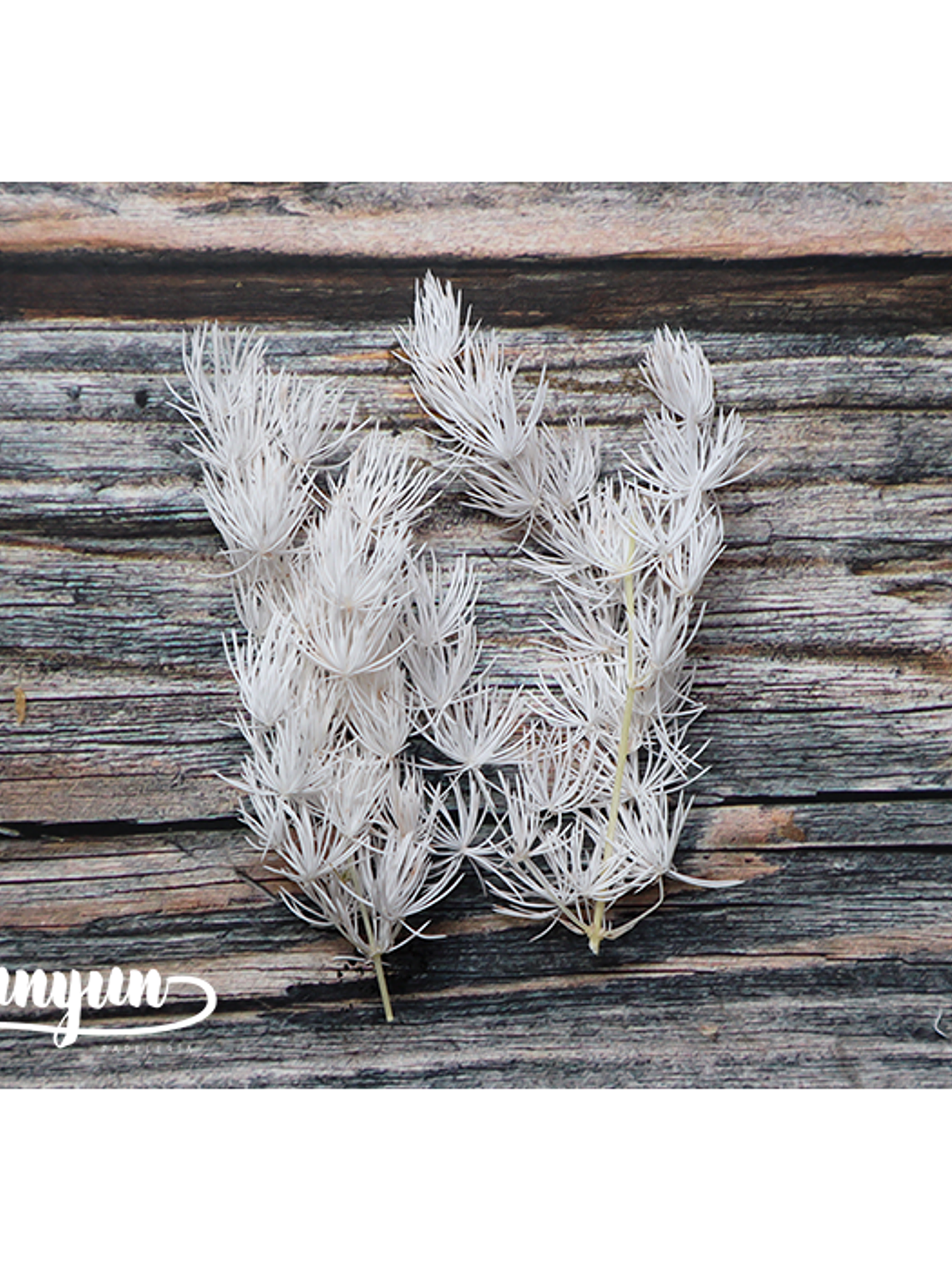 Box Flores Blancas - 20 pzas 4