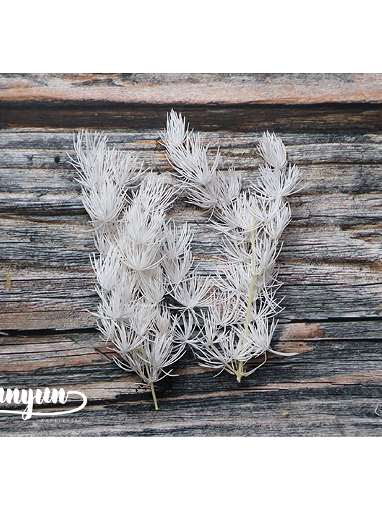 Box Flores Blancas - 20 pzas 4