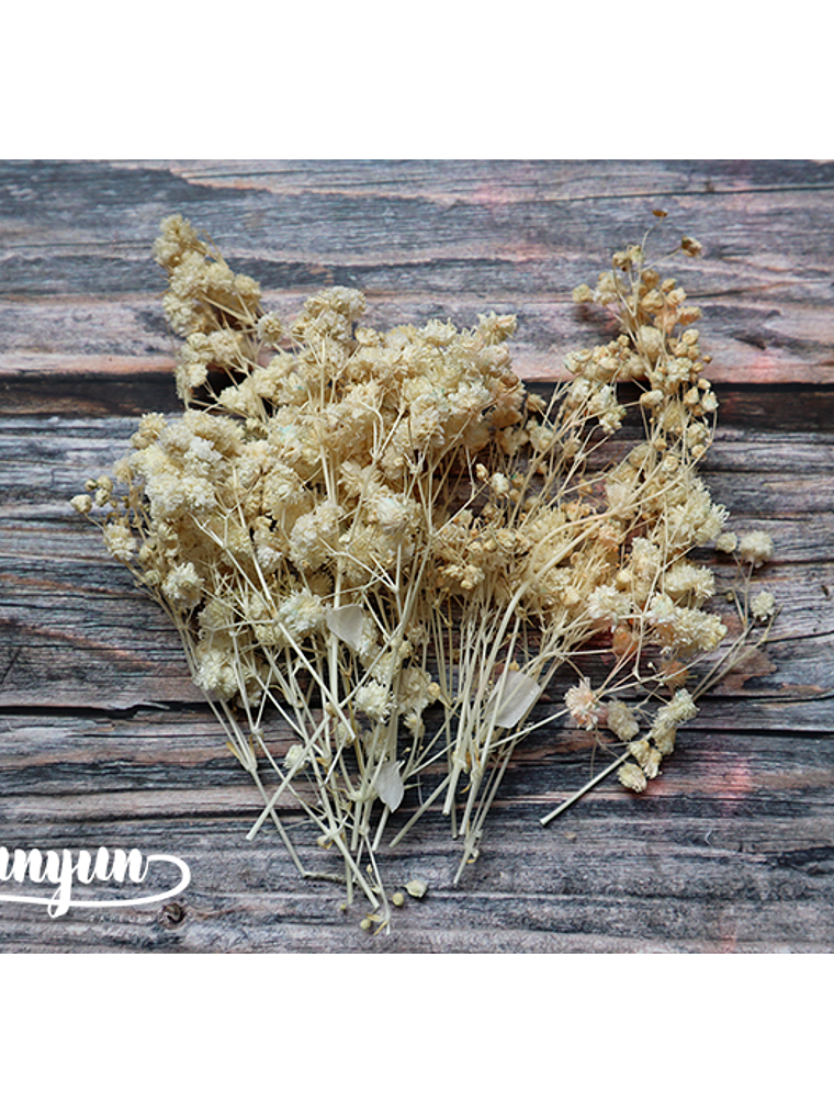 Box Flores Blancas - 20 pzas 5