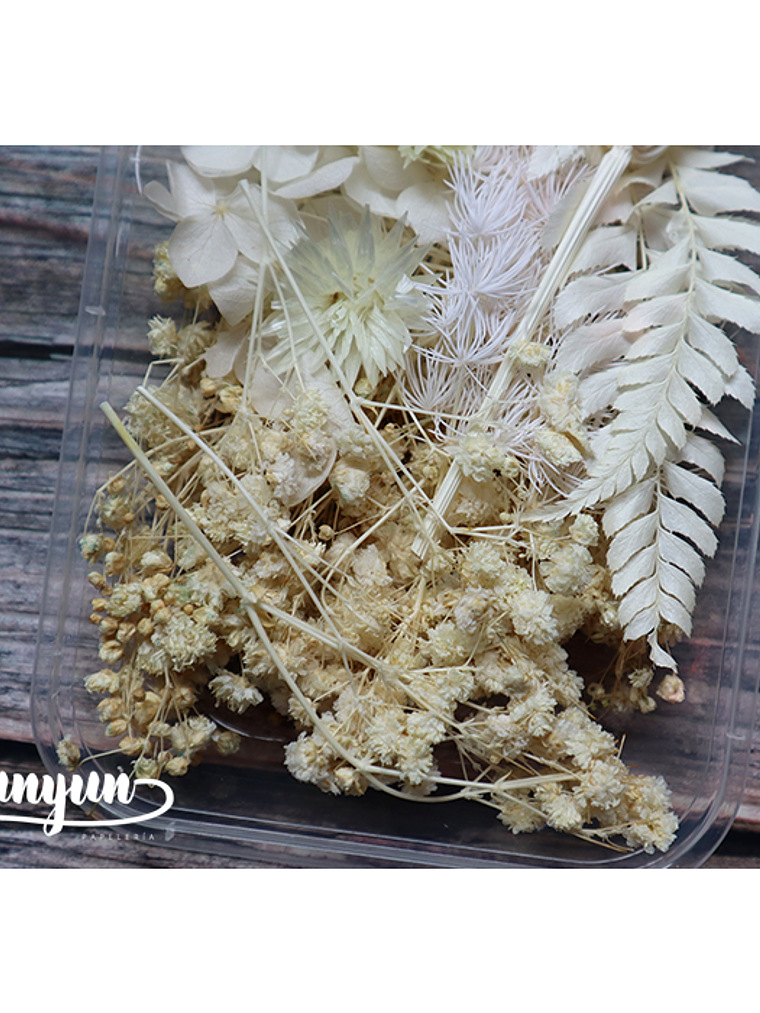 Box Flores Blancas - 20 pzas 6