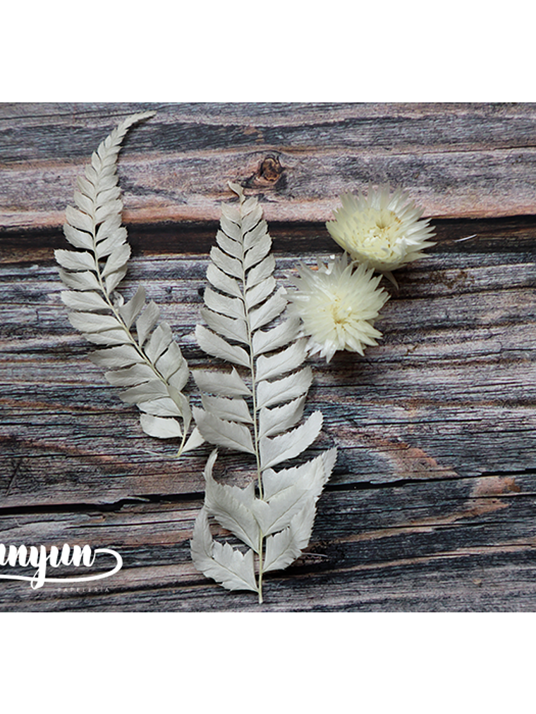 Box Flores Blancas - 20 pzas 3