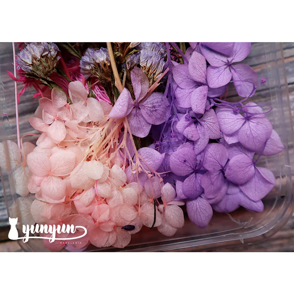 Box Flores Violeta & Rosa - 15 pzas 4