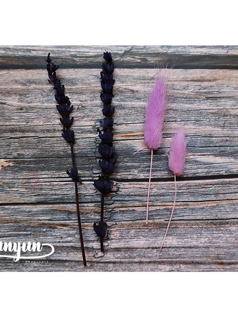 Box Flores Violeta & Rosa - 15 pzas 8