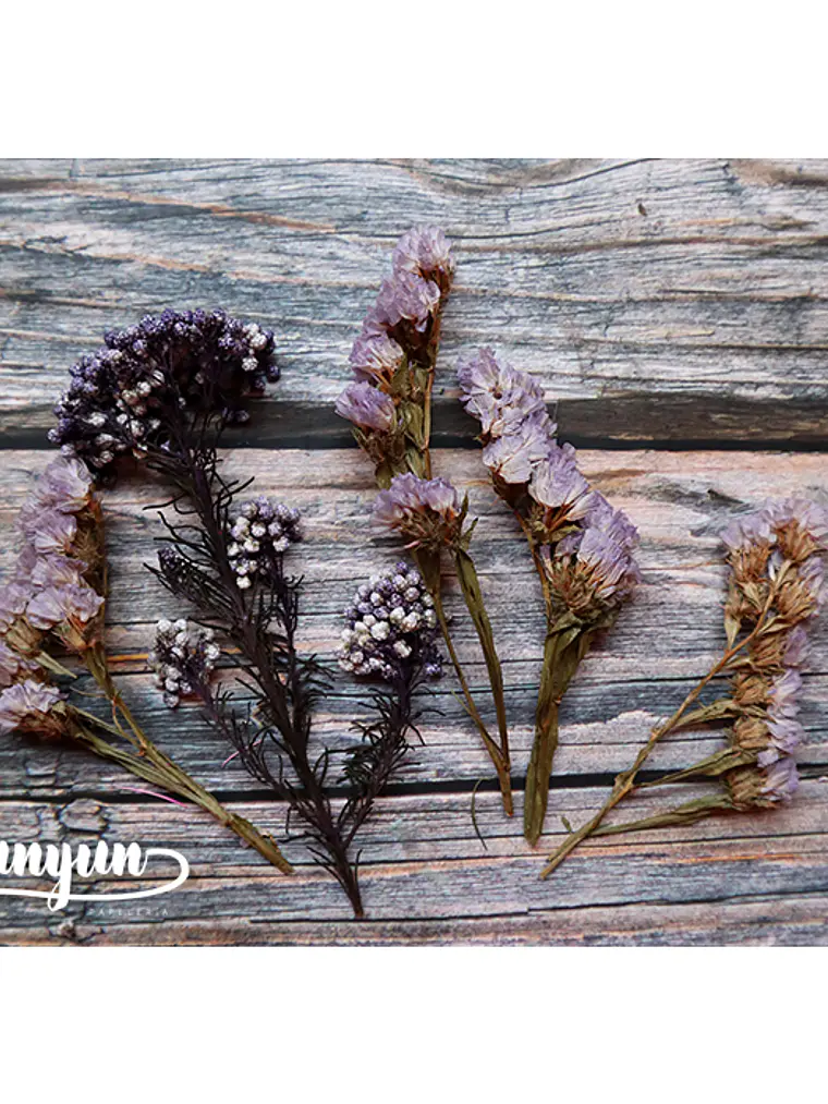 Box Flores Violeta & Rosa - 15 pzas 7