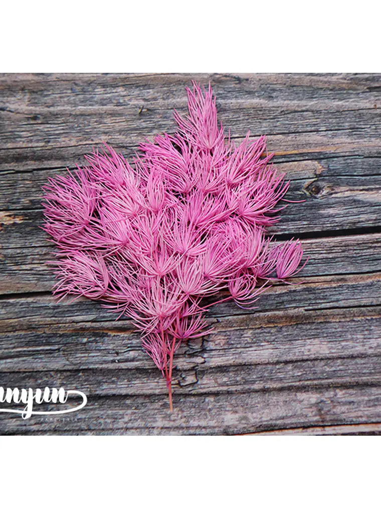 Box Flores Violeta & Rosa - 15 pzas 9