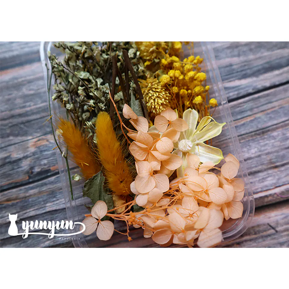 Box Flores Amarillas - 10 pzas 4