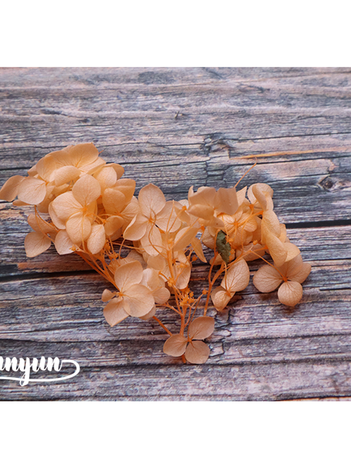 Box Flores Amarillas - 10 pzas 5