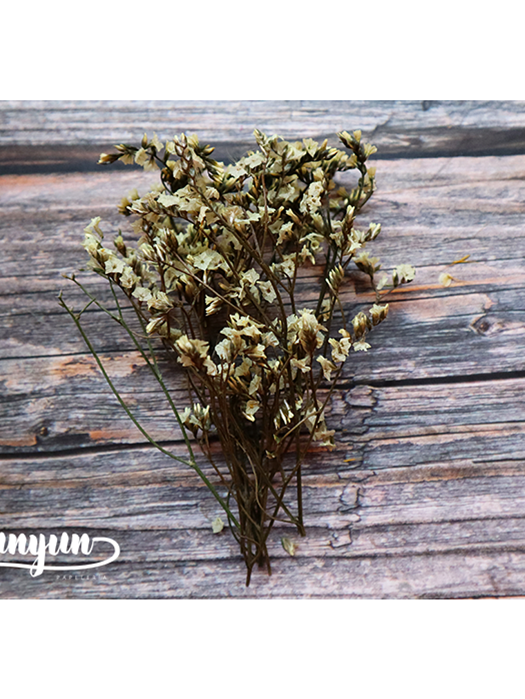 Box Flores Amarillas - 10 pzas 7