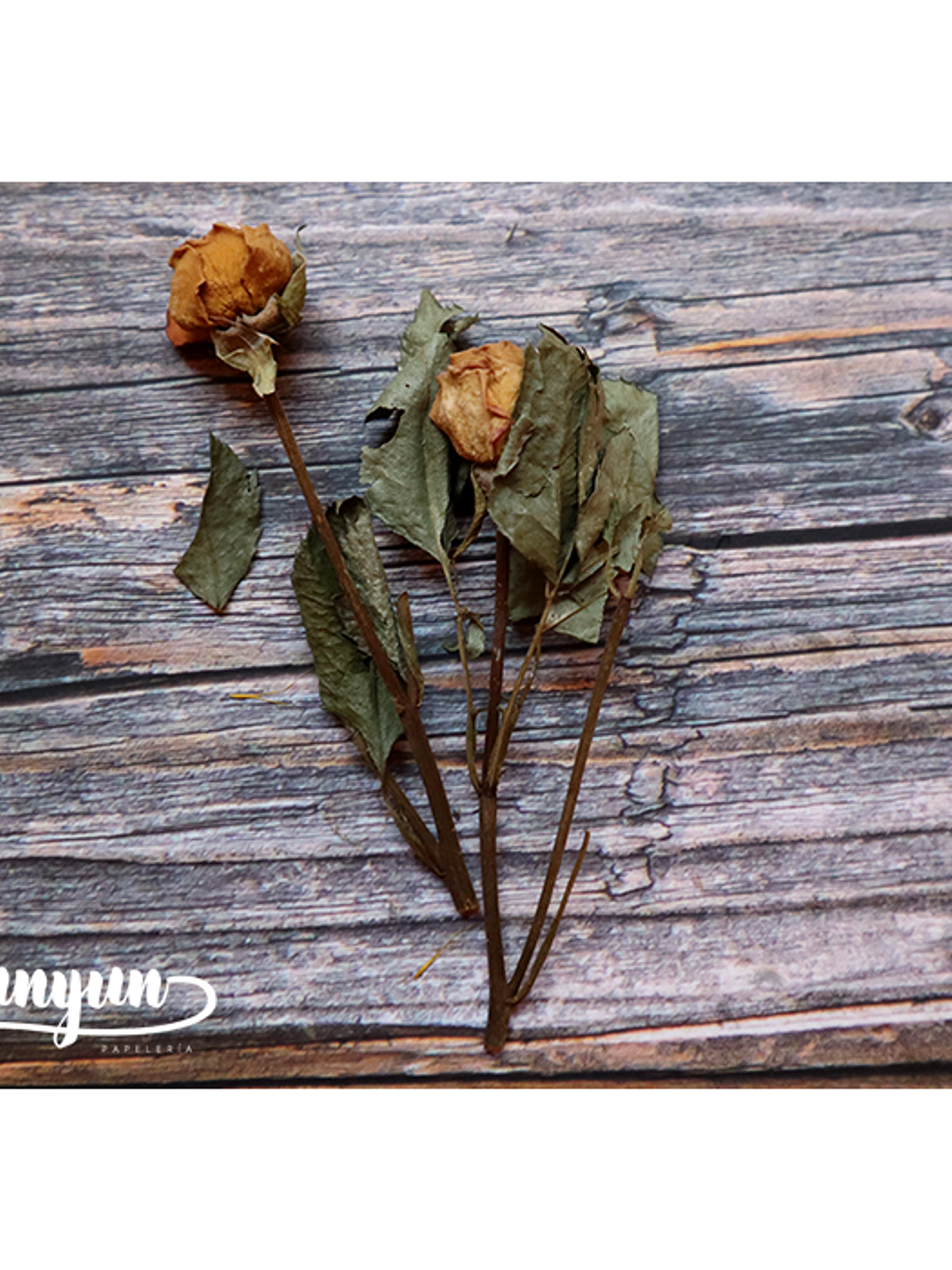 Box Flores Amarillas - 10 pzas 8