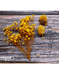 Box Flores Amarillas - 10 pzas