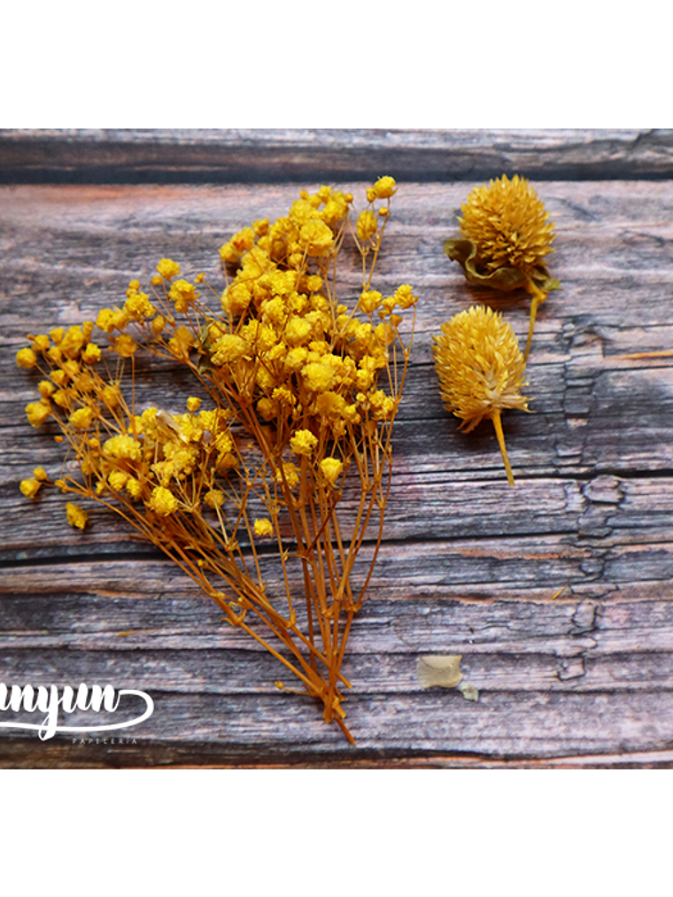 Box Flores Amarillas - 10 pzas 9