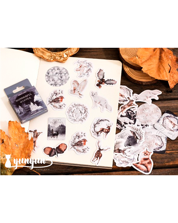 Caja Stickers Wonderful Winter - 45 pzas