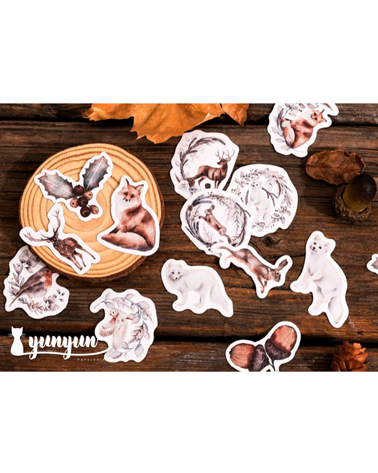 Caja Stickers Wonderful Winter - 45 pzas