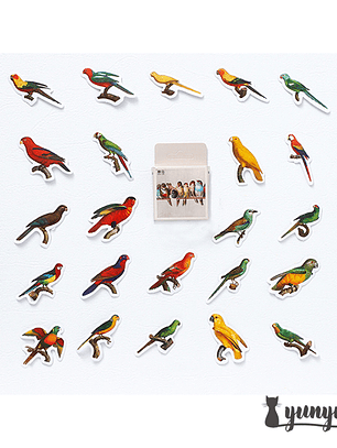 Caja Stickers Aves  - 45 pzas