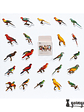 Caja Stickers Aves  - 45 pzas - Miniatura 1