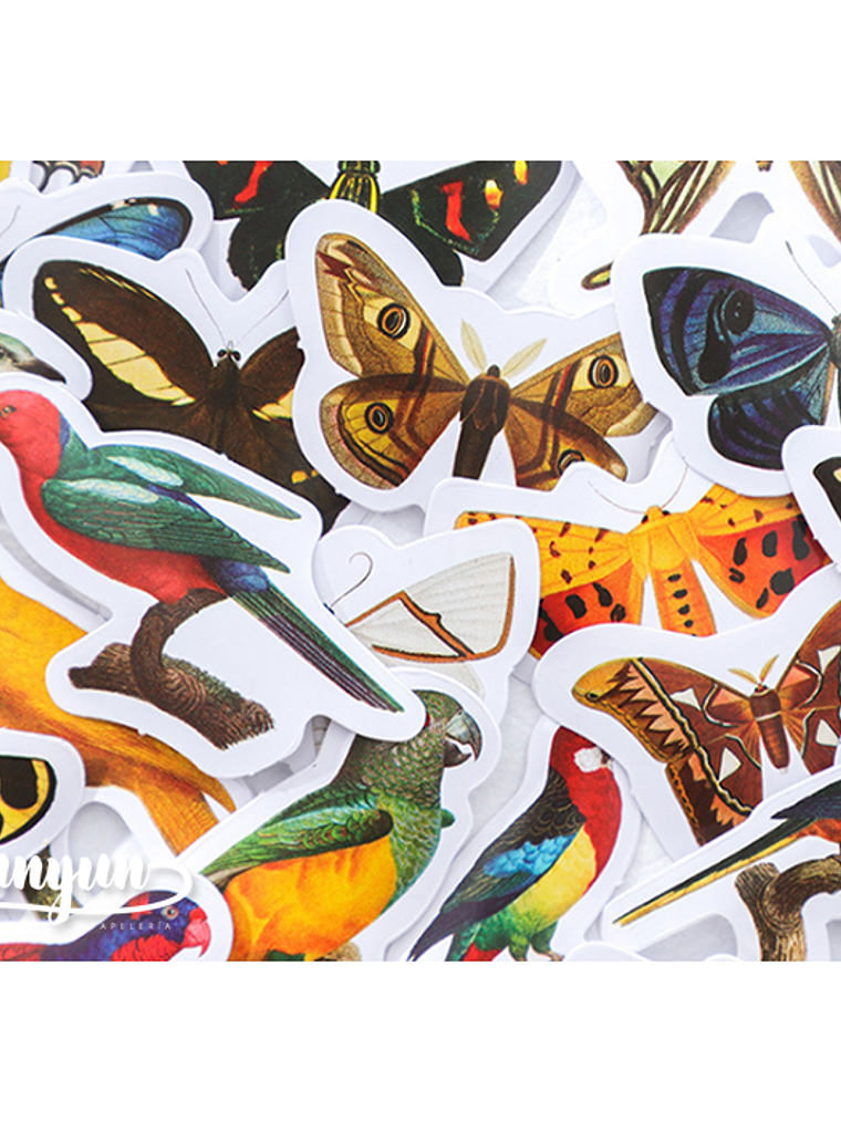 Caja Stickers Aves  - 45 pzas 2