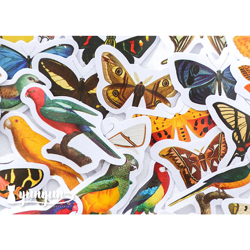 Caja Stickers Aves  - 45 pzas 2