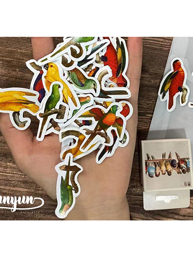Caja Stickers Aves  - 45 pzas 3