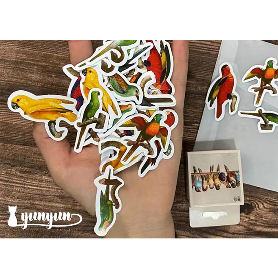 Caja Stickers Aves  - 45 pzas 3
