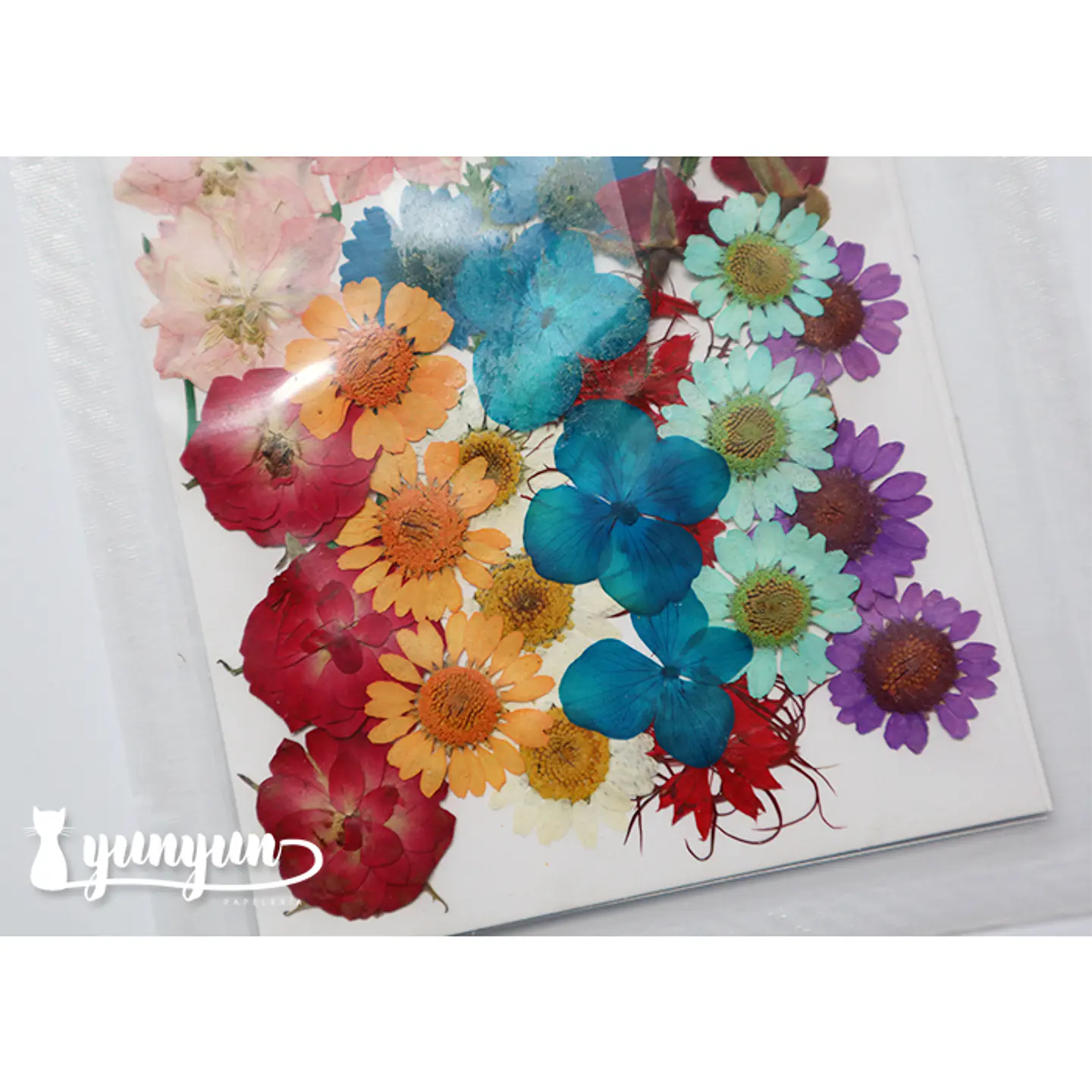 Set Flores Secas Mix Colores II - 36 pzas 3
