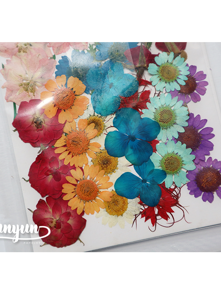 Set Flores Secas Mix Colores II - 36 pzas 3