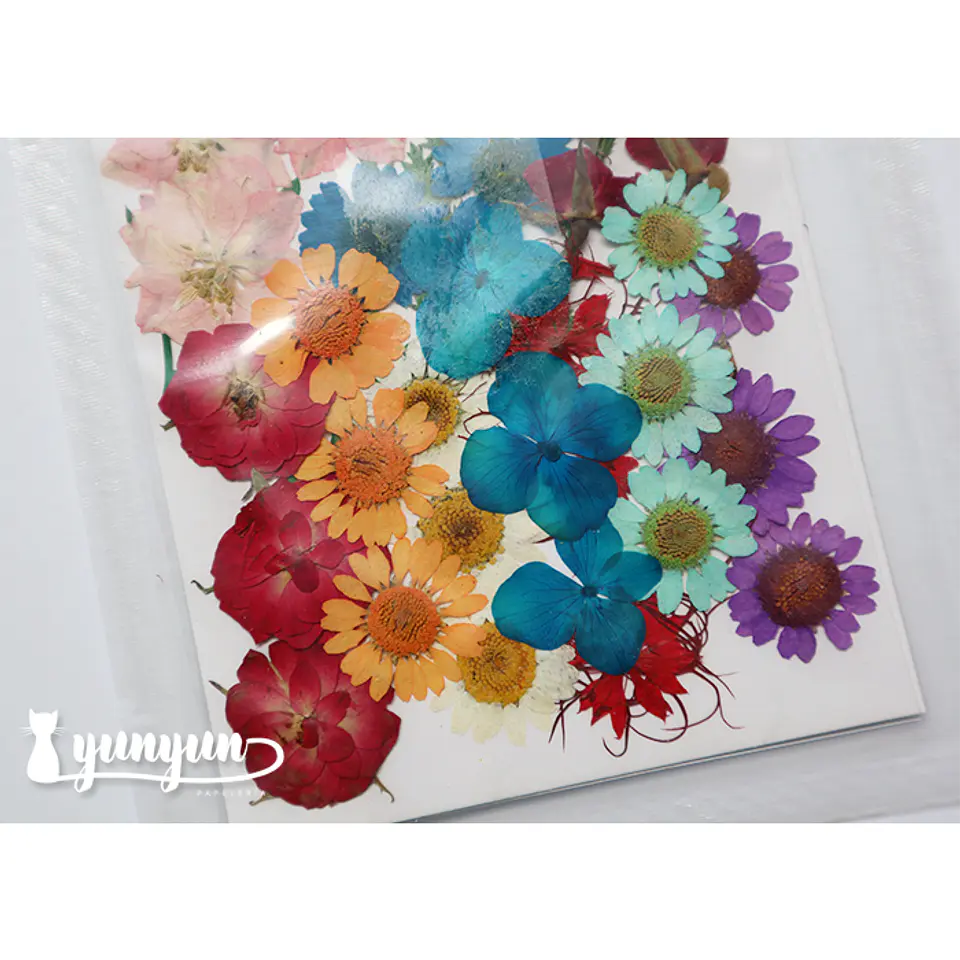 Set Flores Secas Mix Colores II - 36 pzas 3