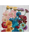 Set Flores Secas Mix Colores II - 36 pzas