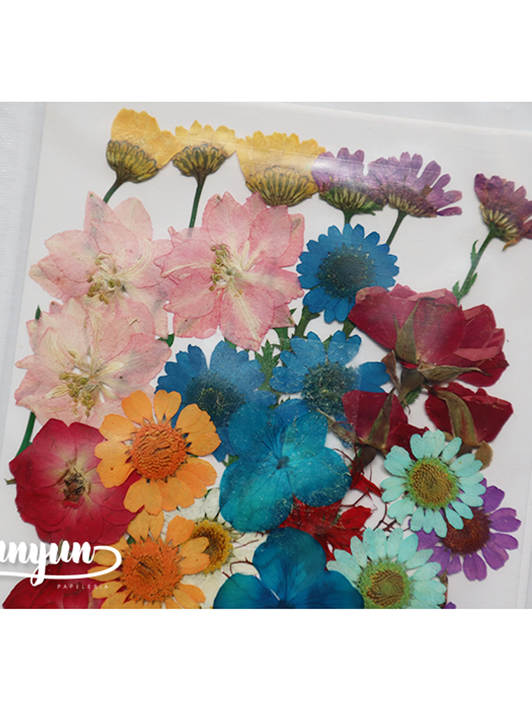 Set Flores Secas Mix Colores II - 36 pzas 2