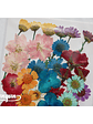 Set Flores Secas Mix Colores II - 36 pzas - Miniatura 2