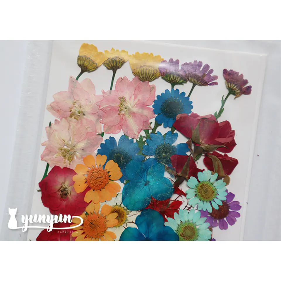 Set Flores Secas Mix Colores II - 36 pzas 2