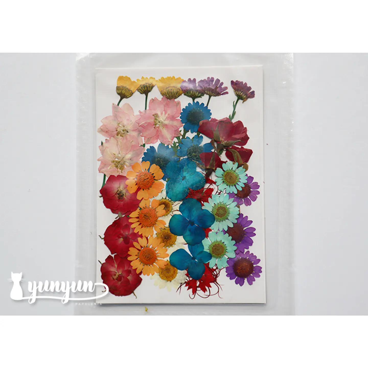 Set Flores Secas Mix Colores II - 36 pzas 1