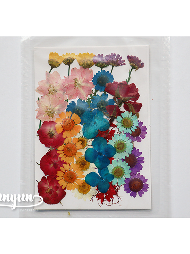 Set Flores Secas Mix Colores II - 36 pzas 1