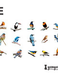 Stickers Aves - 30 pzas