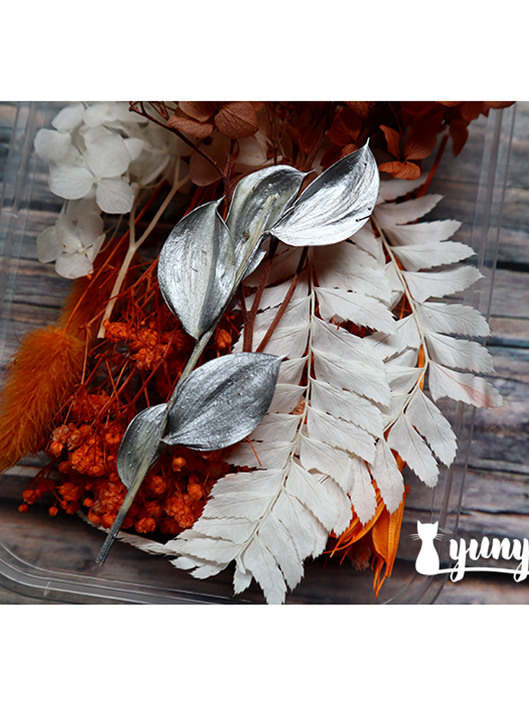 Box Flores Secas Naranja & Blanco  2