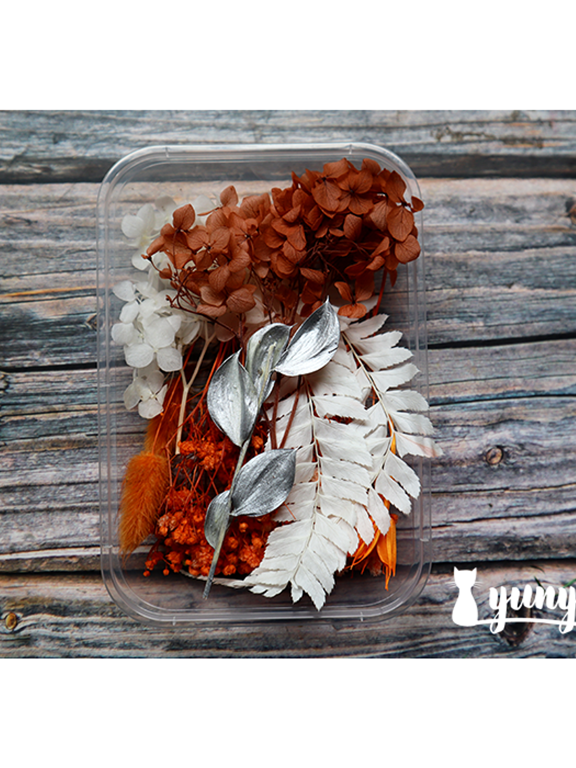Box Flores Secas Naranja & Blanco  1