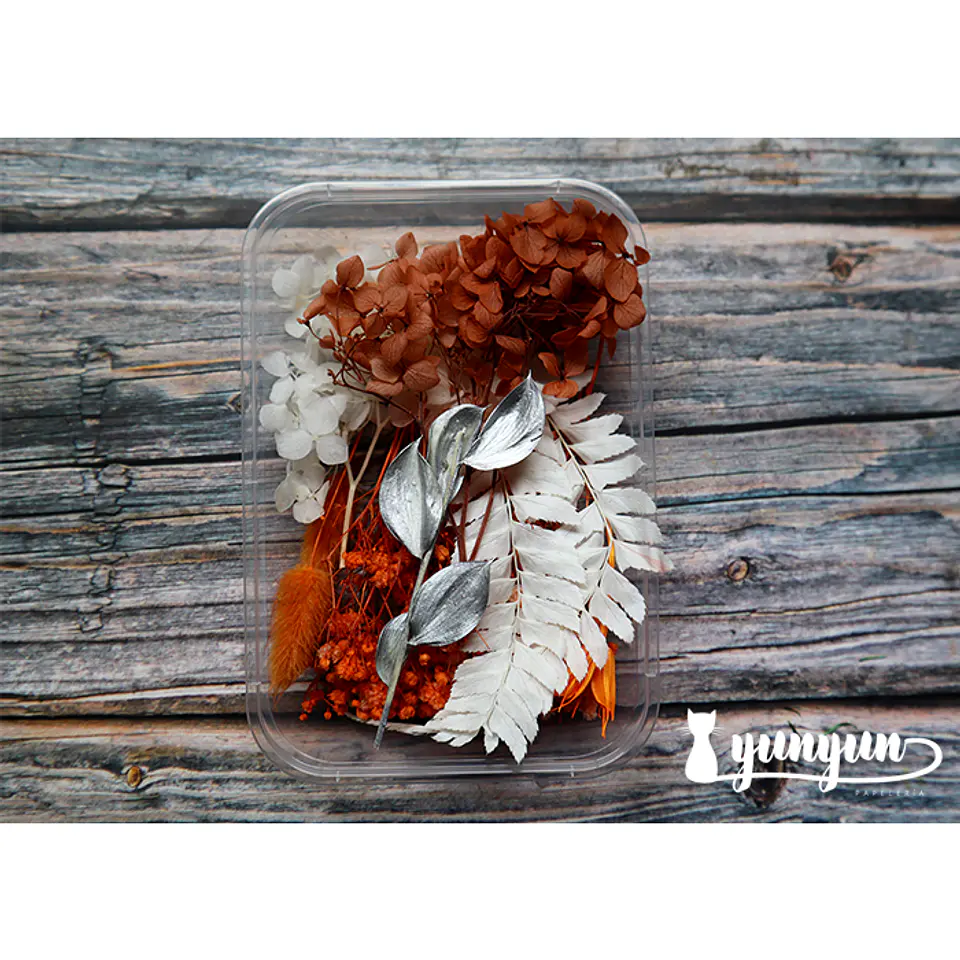 Box Flores Secas Naranja & Blanco  1