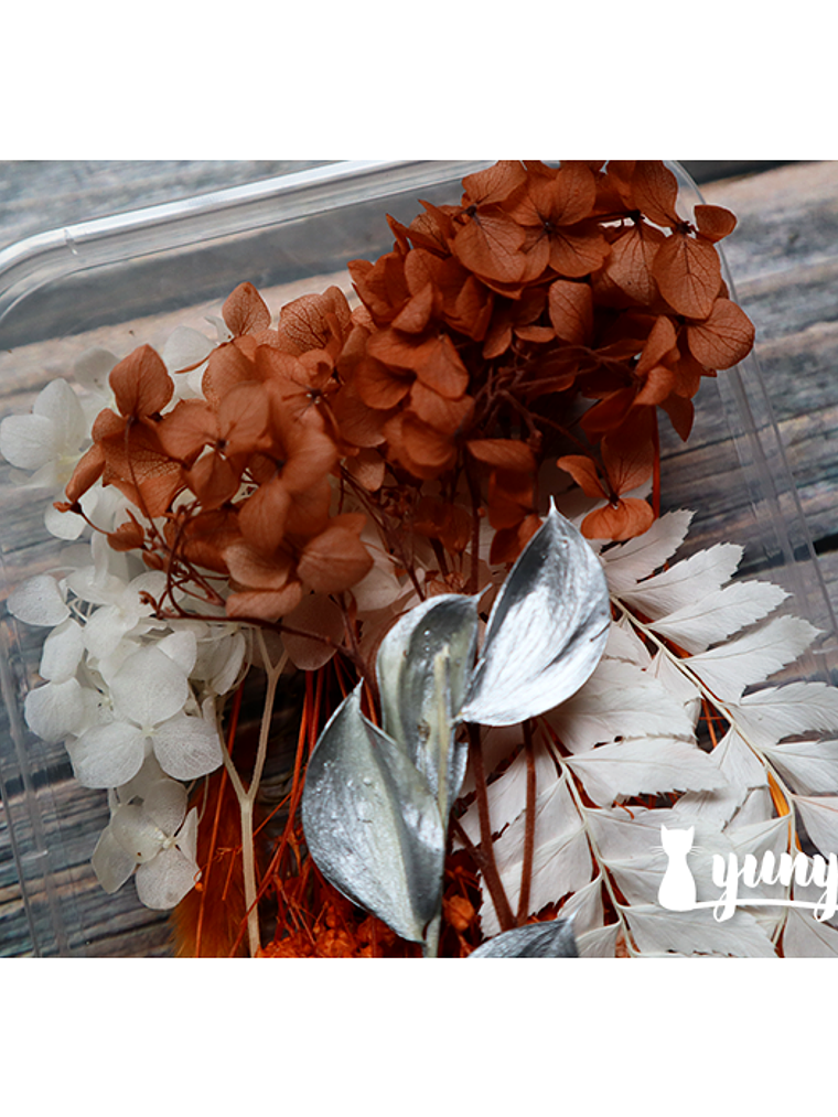 Box Flores Secas Naranja & Blanco  3