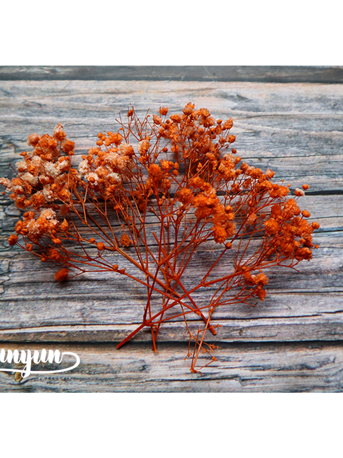 Box Flores Secas Naranja & Blanco  7