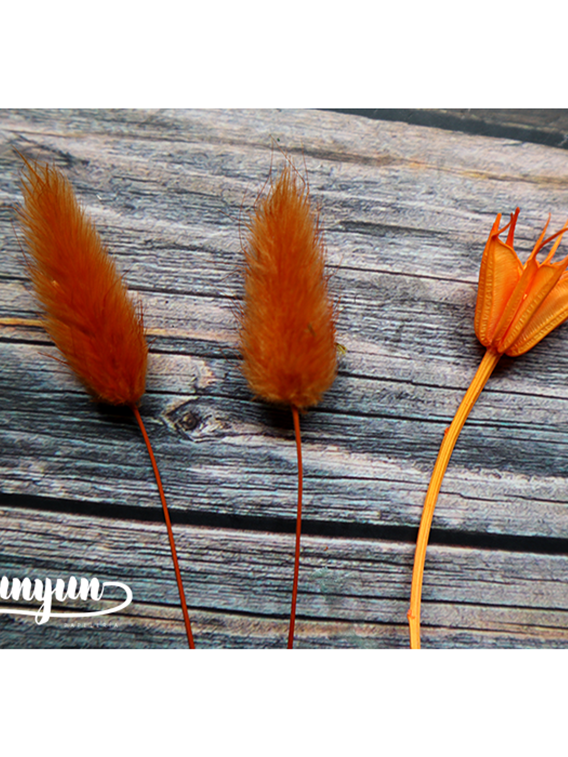 Box Flores Secas Naranja & Blanco  8