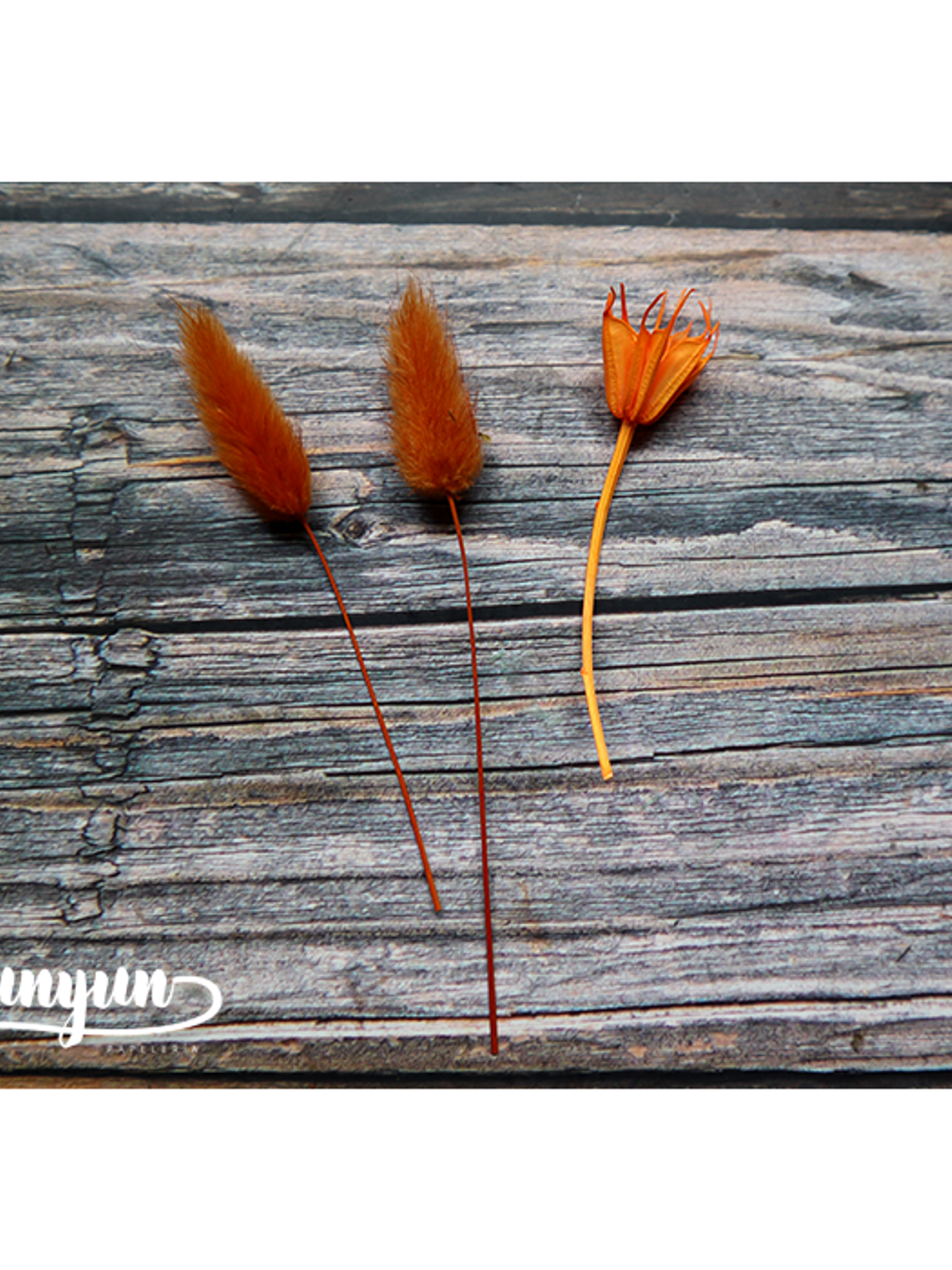 Box Flores Secas Naranja & Blanco  9