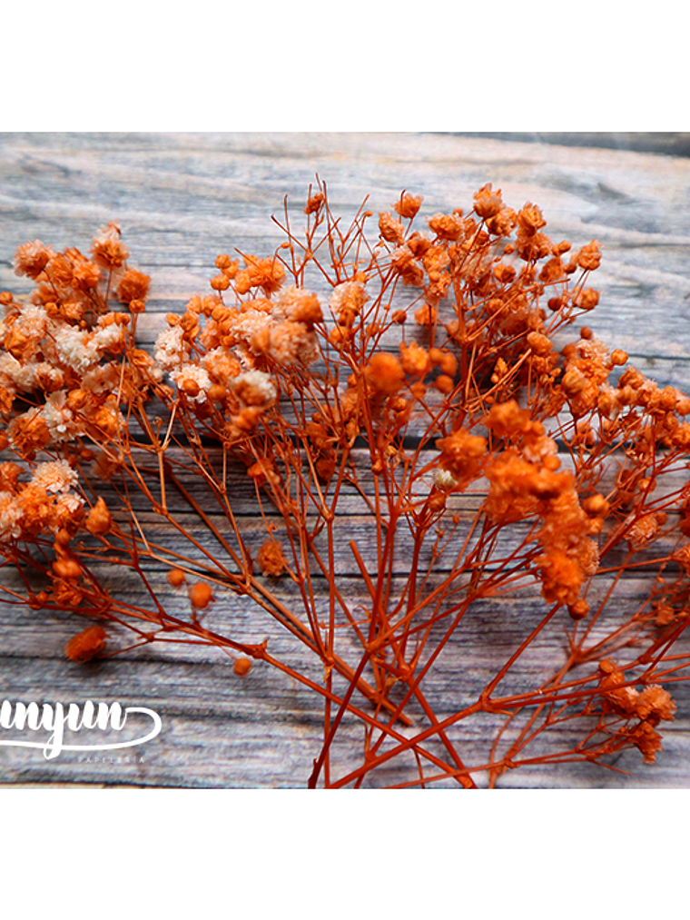 Box Flores Secas Naranja & Blanco  10