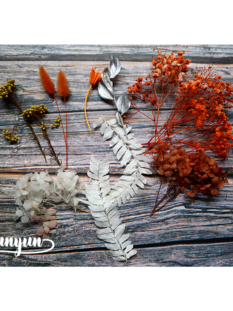 Box Flores Secas Naranja & Blanco  4