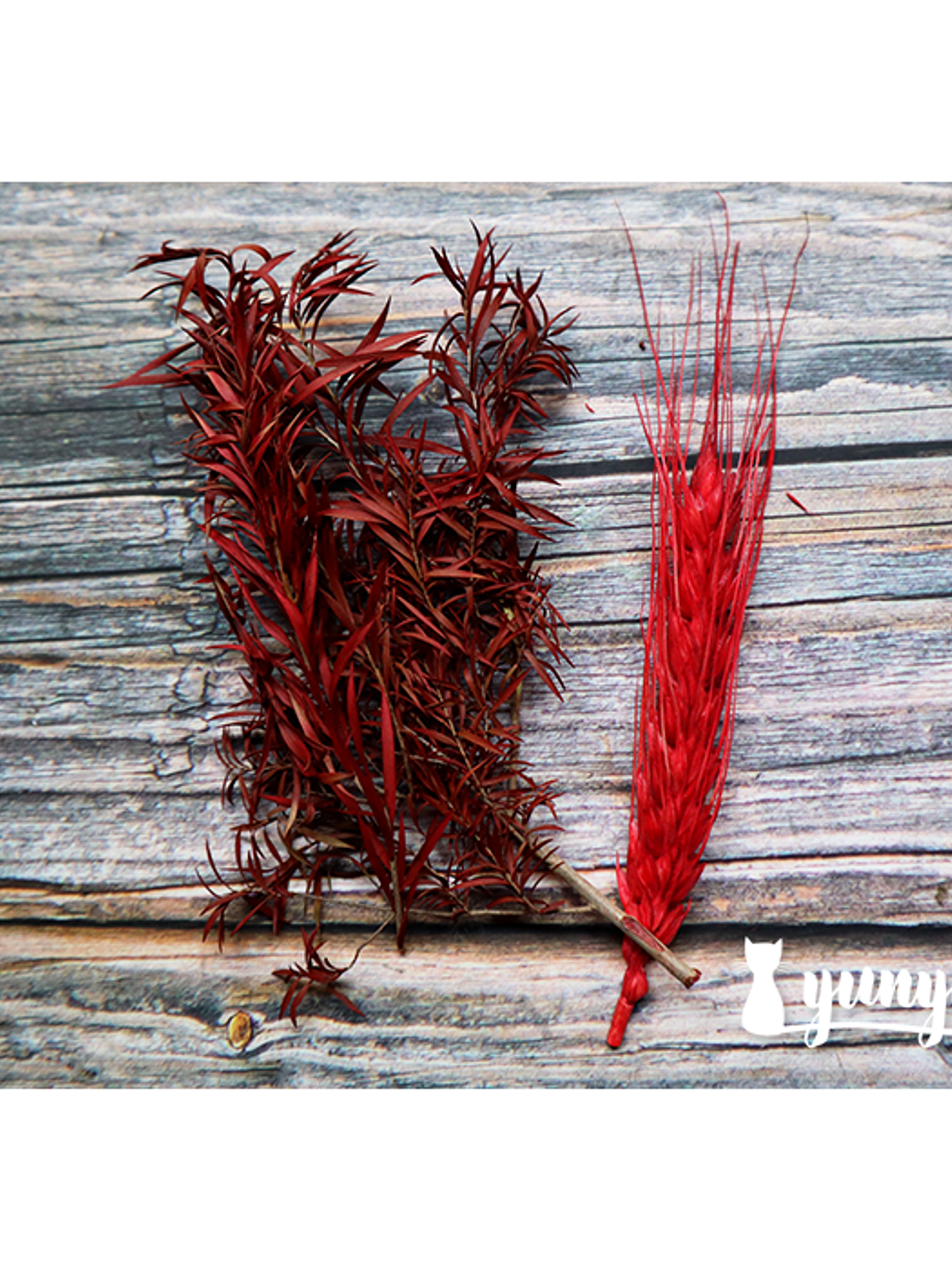 Box Flores Secas Rojas 4