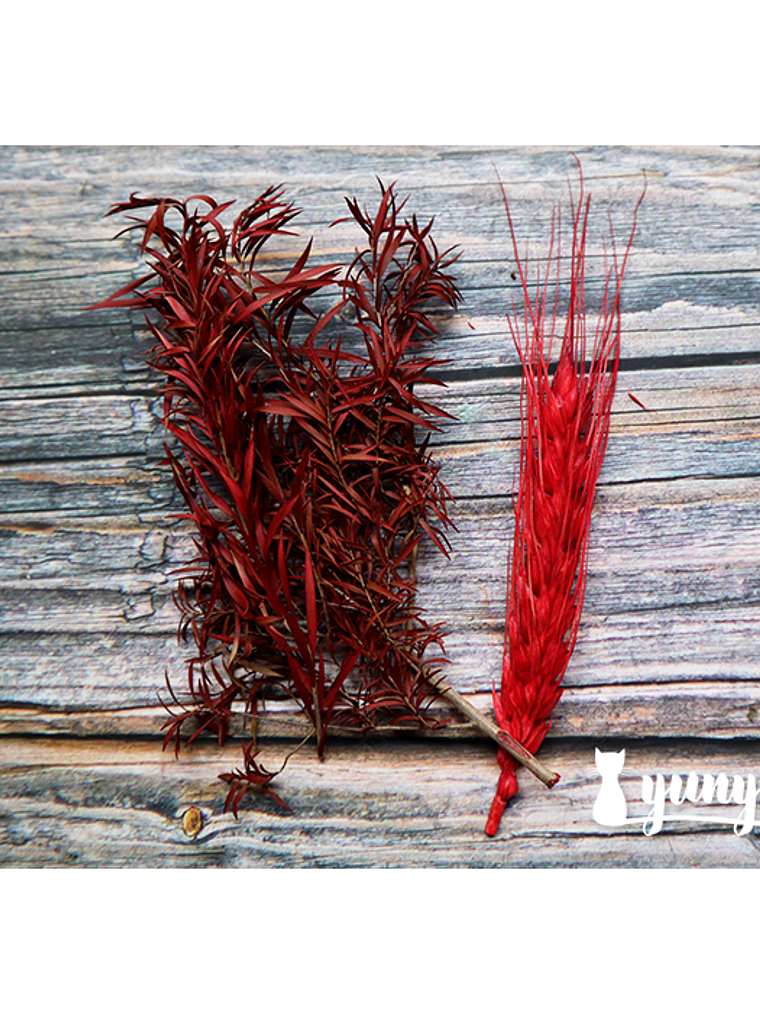 Box Flores Secas Rojas 4