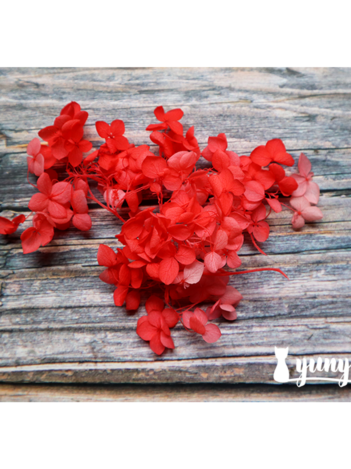 Box Flores Secas Rojas 5