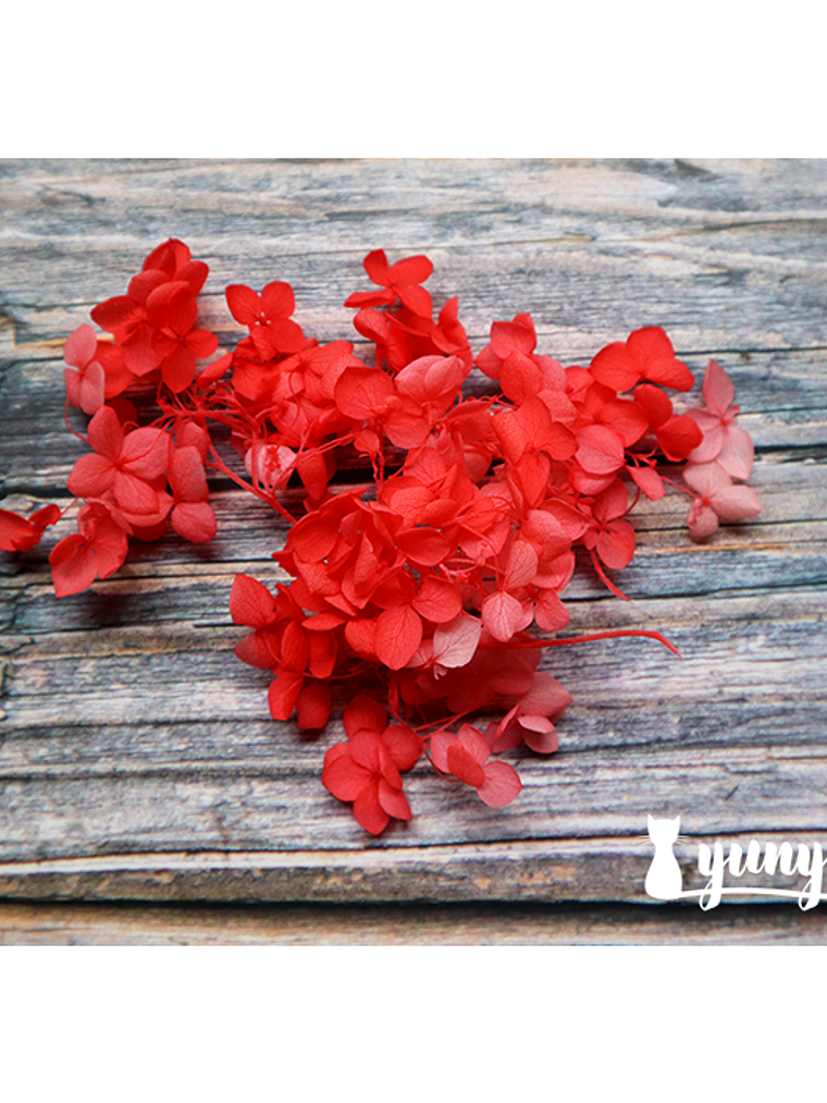 Box Flores Secas Rojas 5