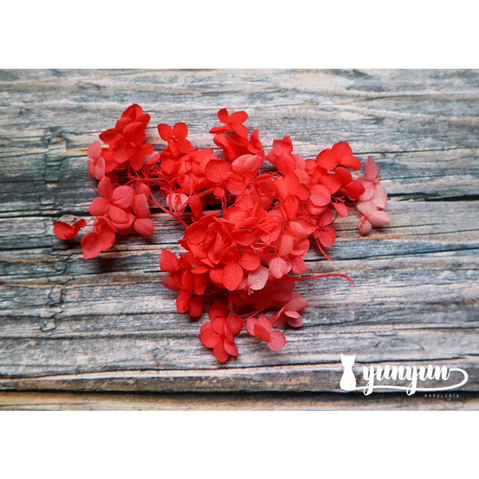Box Flores Secas Rojas 5
