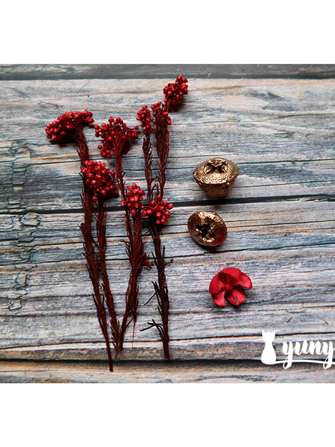 Box Flores Secas Rojas 7